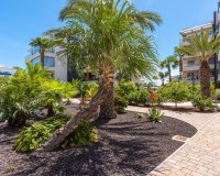 Reventa - Apartamento - Orihuela Costa  - Los Dolses