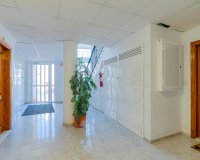 Reventa - Apartamento - Orihuela Costa  - Playa Flamenca