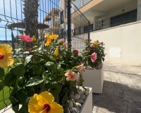 Reventa - Apartamento - Orihuela-Costa - Villamartin