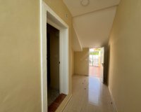 Reventa - Apartamento - Playa Flamenca - Res. San Antonio