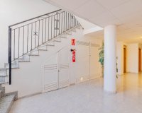 Reventa - Apartamento - Playa Flamenca