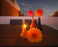 Reventa - Apartamento - Punta Prima - La Entrada