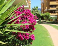 Reventa - Apartamento - Punta Prima - La Entrada