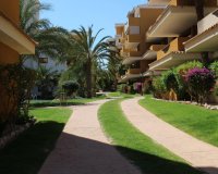 Reventa - Apartamento - Punta Prima - La Entrada
