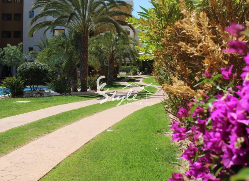 Reventa - Apartamento - Punta Prima - La Entrada