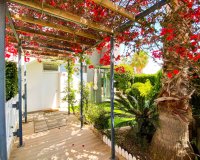 Reventa - Apartamento - Punta Prima