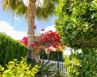 Reventa - Apartamento - Punta Prima