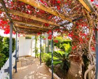 Reventa - Apartamento - Punta Prima