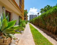 Reventa - Apartamento - Punta Prima