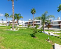 Reventa - Apartamento - Punta Prima
