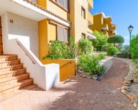 Reventa - Apartamento - Punta Prima