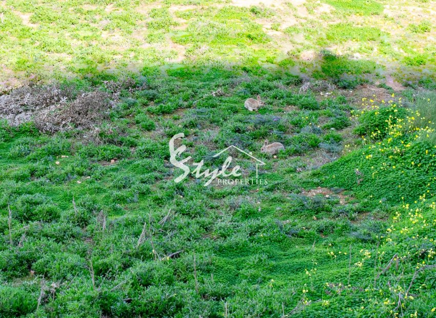 Reventa - Apartamento - Punta Prima