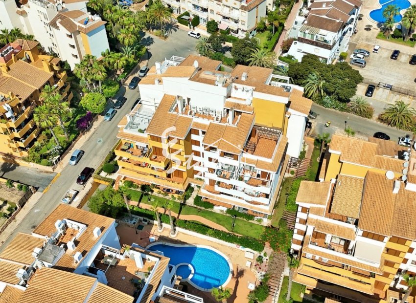 Reventa - Apartamento - Punta Prima