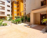 Reventa - Apartamento - Punta Prima