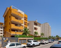 Reventa - Apartamento - Punta Prima