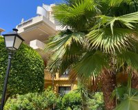 Reventa - Apartamento - Punta Prima