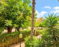 Reventa - Apartamento - Punta Prima