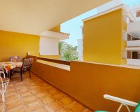 Reventa - Apartamento - Punta Prima