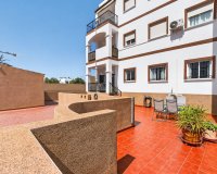 Reventa - Apartamento - Punta Prima