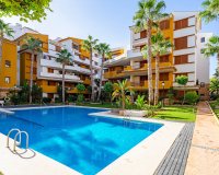 Reventa - Apartamento - Punta Prima