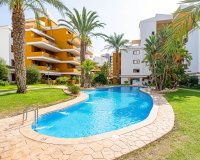 Reventa - Apartamento - Punta Prima