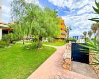 Reventa - Apartamento - Punta Prima