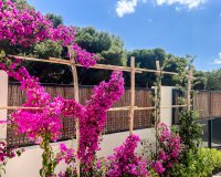 Reventa - Apartamento - San Javier