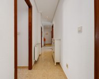 Reventa - Apartamento - San Miguel De Salinas