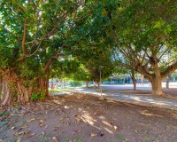 Reventa - Apartamento - Torrevieja - Acequion