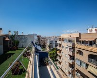 Reventa - Apartamento - Torrevieja  - Beach