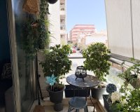 Reventa - Apartamento - Torrevieja - Center