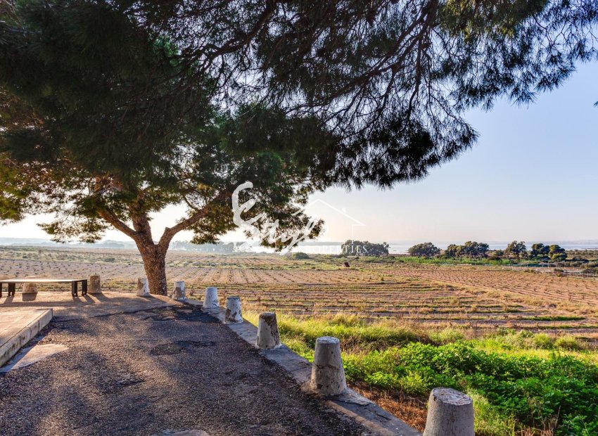 Reventa - Apartamento - Torrevieja - La Mata