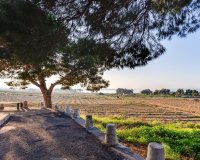 Reventa - Apartamento - Torrevieja - La Mata