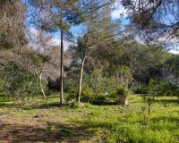 Reventa - Apartamento - Torrevieja - Los Balcones