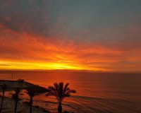 Reventa - Apartamento - Torrevieja - Playa del Cura