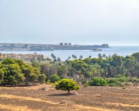 Reventa - Apartamento - Torrevieja - Punta Prima