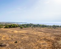 Reventa - Apartamento - Torrevieja - Punta Prima