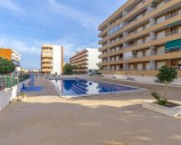 Reventa - Apartamento - Torrevieja - Punta Prima