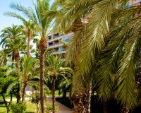 Reventa - Apartamento - Torrevieja  - Torrevieja