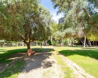 Reventa - Apartamento - Torrevieja