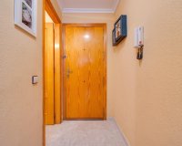 Reventa - Apartamento - Torrevieja