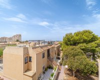 Reventa - Apartamento - Torrevieja