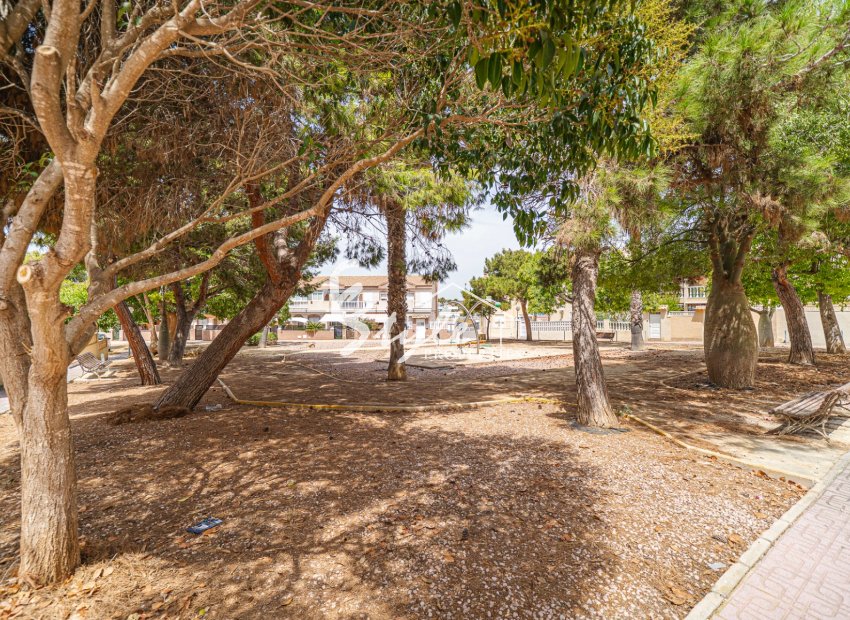 Reventa - Apartamento - Torrevieja