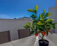 Reventa - Apartamento - Torrevieja