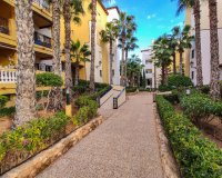 Reventa - Apartamento - Torrevieja