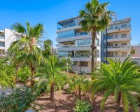 Reventa - Apartamento - Villamartín - Los Dolses