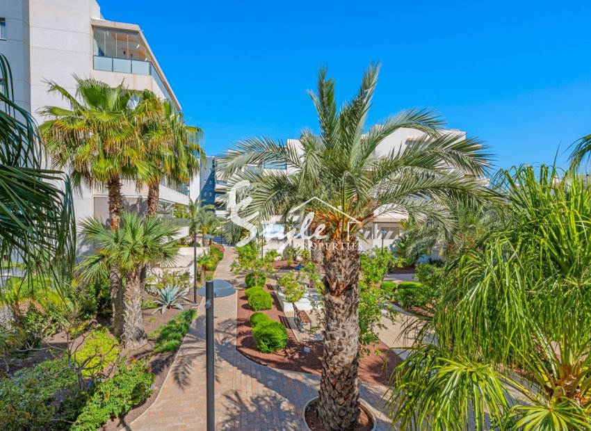 Reventa - Apartamento - Villamartín - Los Dolses