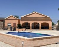 Reventa - Finca - Alicante - Dolores