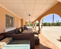 Reventa - Finca - Alicante - Dolores