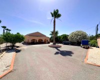 Reventa - Finca - Alicante - Dolores